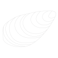 mussel